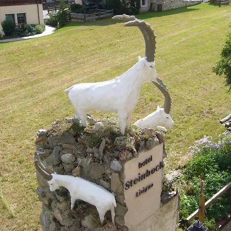 Hotel Steinbock - 3*