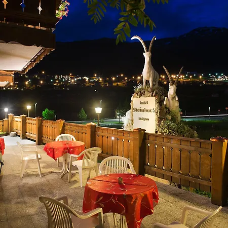 Steinbock - Livigno