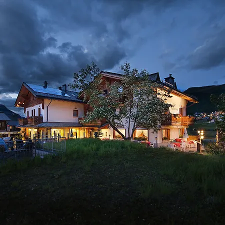 Steinbock - Livigno