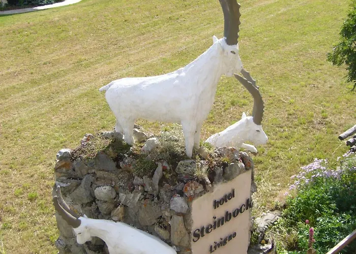 מלון Steinbock - 3*
