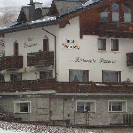 Steinbock - Livigno