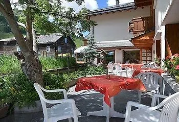 Steinbock Livigno